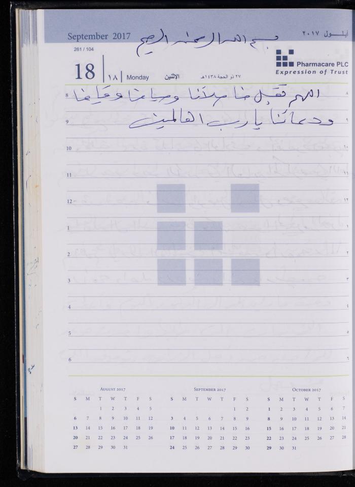 The Diary of Fadeyyeh Darabe, Dura- Hebron, 2017