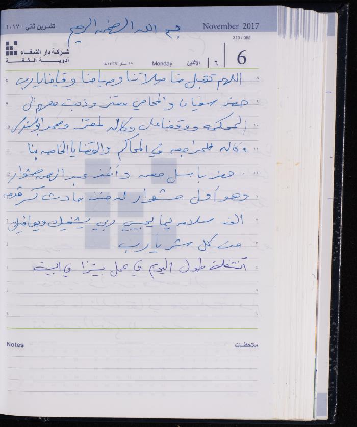 The Diary of Fadeyyeh Darabe, Dura- Hebron, 2017