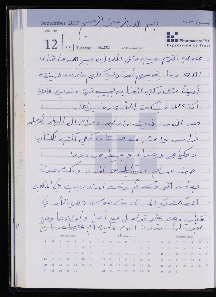 The Diary of Fadeyyeh Darabe, Dura- Hebron, 2017
