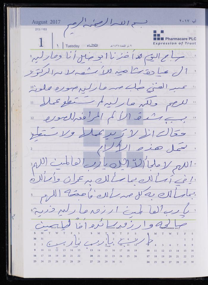 The Diary of Fadeyyeh Darabe, Dura- Hebron, 2017