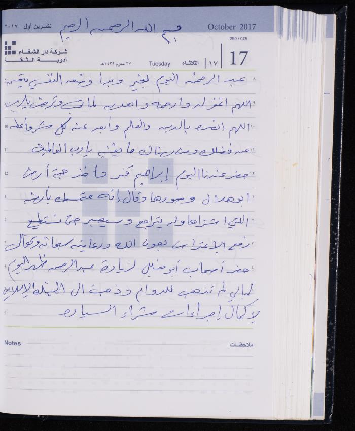 The Diary of Fadeyyeh Darabe, Dura- Hebron, 2017
