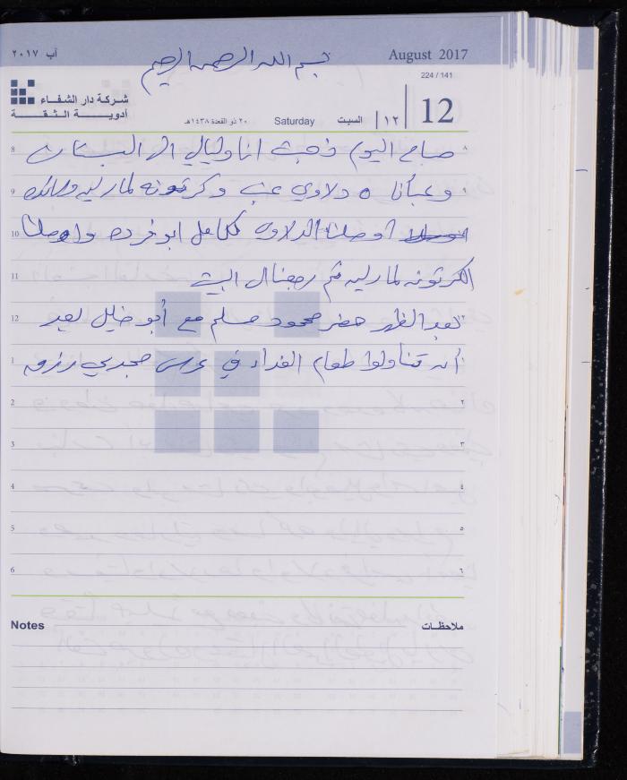 The Diary of Fadeyyeh Darabe, Dura- Hebron, 2017