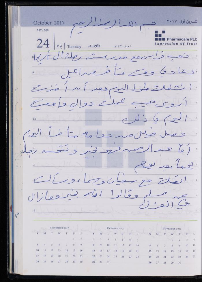 The Diary of Fadeyyeh Darabe, Dura- Hebron, 2017