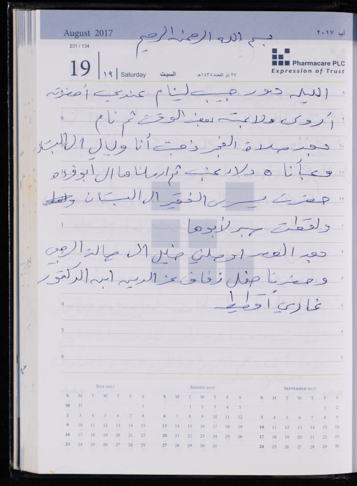 The Diary of Fadeyyeh Darabe, Dura- Hebron, 2017