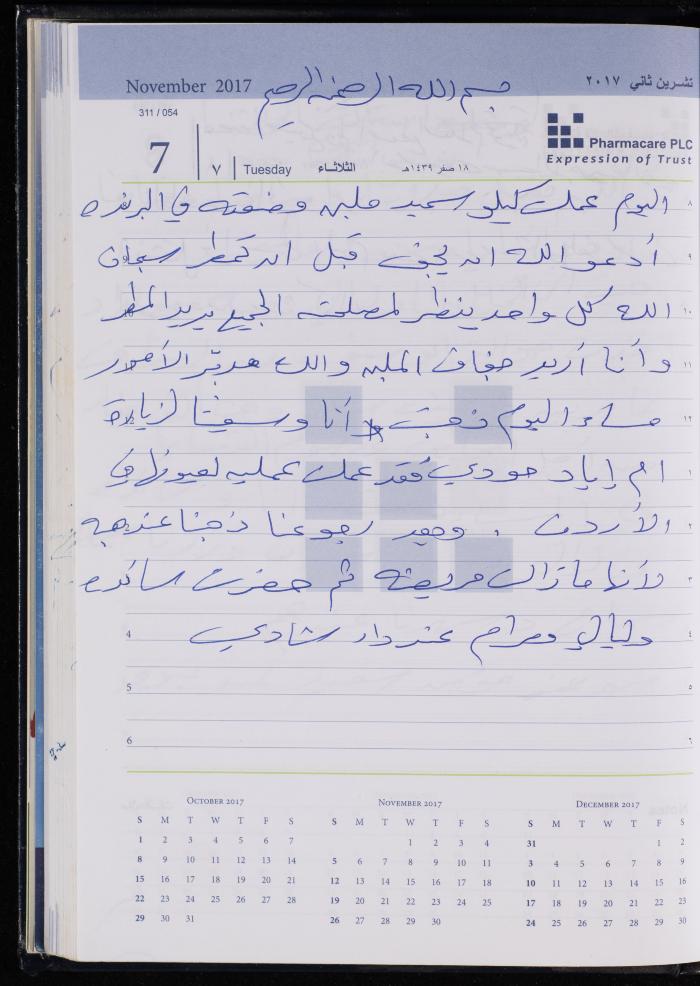 The Diary of Fadeyyeh Darabe, Dura- Hebron, 2017