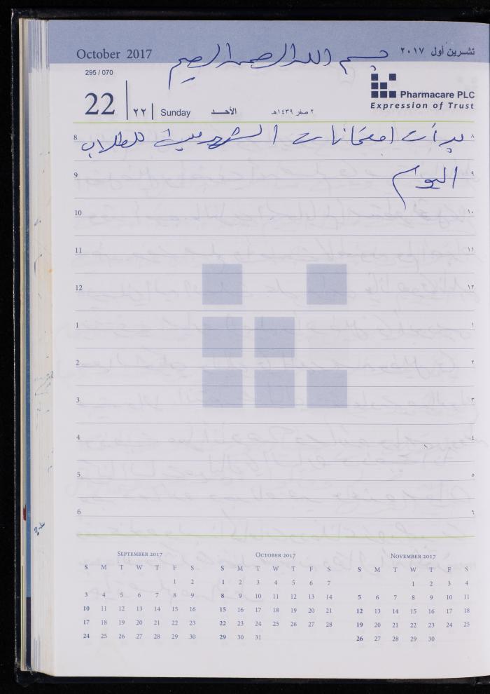 The Diary of Fadeyyeh Darabe, Dura- Hebron, 2017