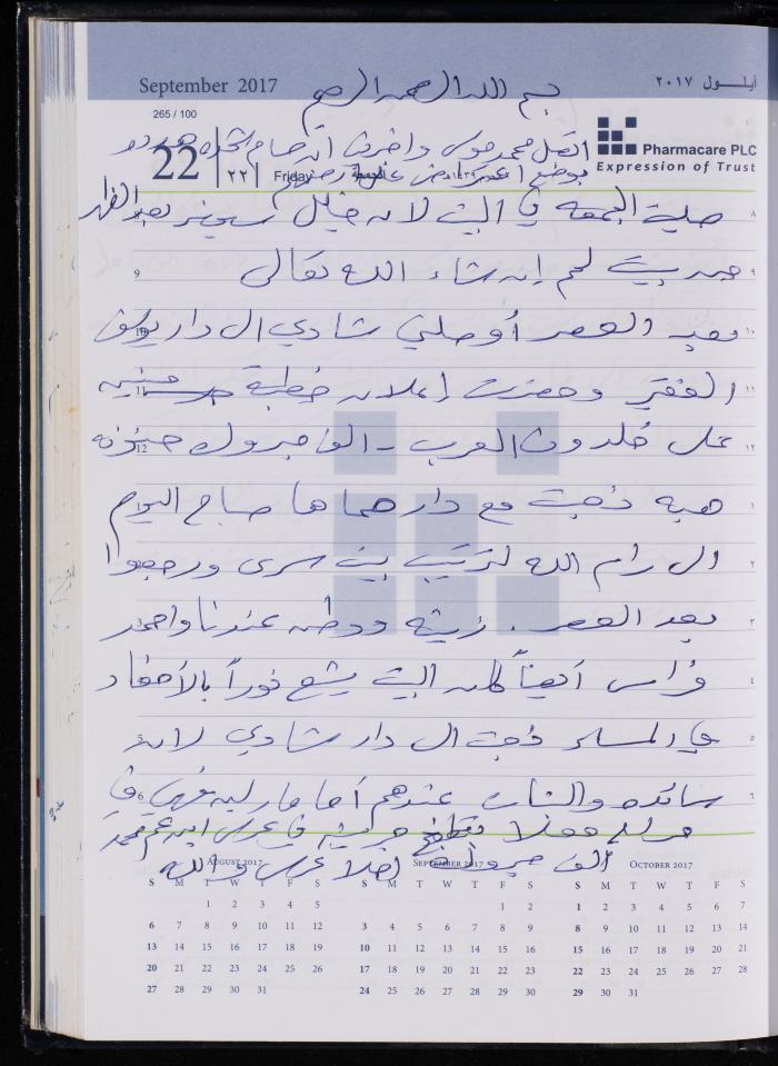 The Diary of Fadeyyeh Darabe, Dura- Hebron, 2017