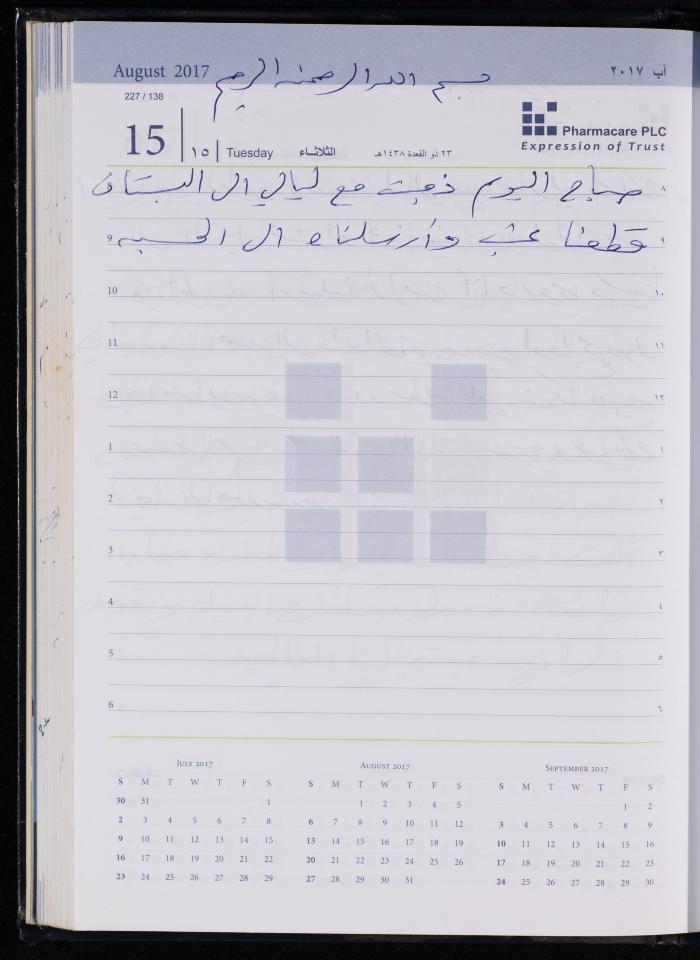 The Diary of Fadeyyeh Darabe, Dura- Hebron, 2017