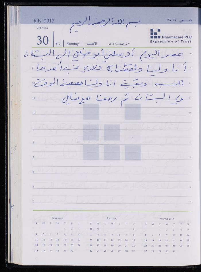 The Diary of Fadeyyeh Darabe, Dura- Hebron, 2017