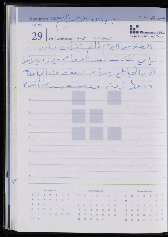 The Diary of Fadeyyeh Darabe, Dura- Hebron, 2017