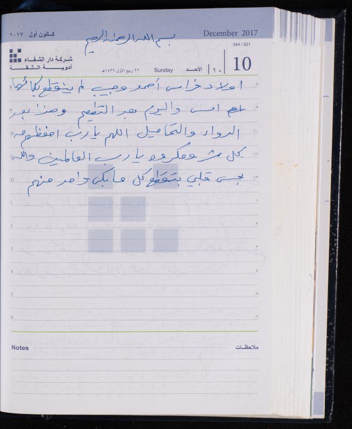 The Diary of Fadeyyeh Darabe, Dura- Hebron, 2017