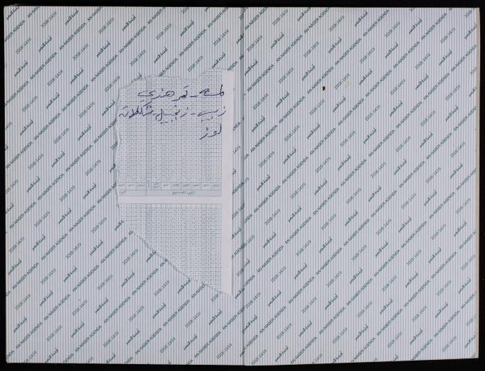 The Diary of Fadeyyeh Darabe, Dura- Hebron, 2018