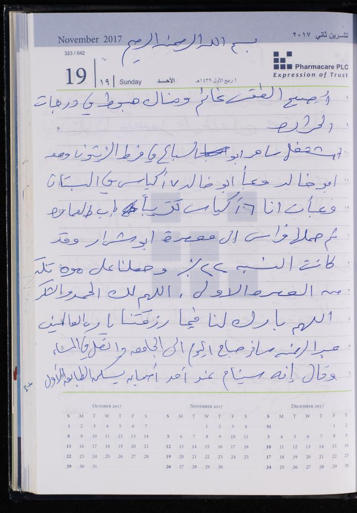 The Diary of Fadeyyeh Darabe, Dura- Hebron, 2017