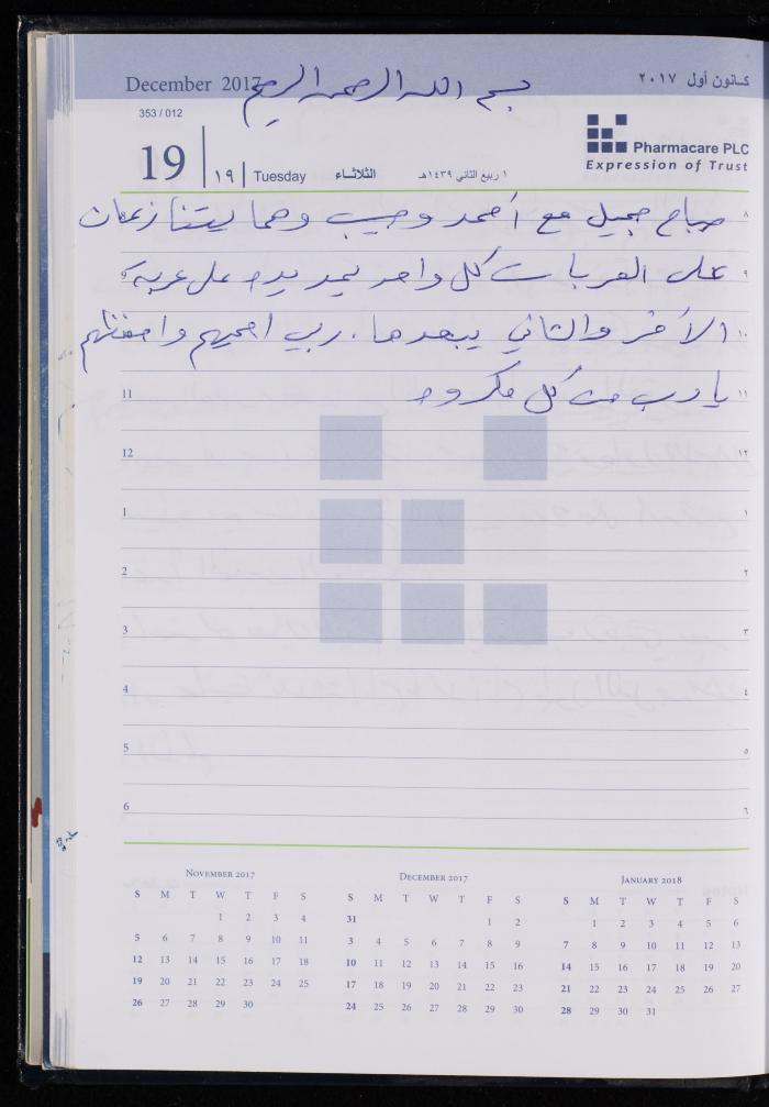 The Diary of Fadeyyeh Darabe, Dura- Hebron, 2017