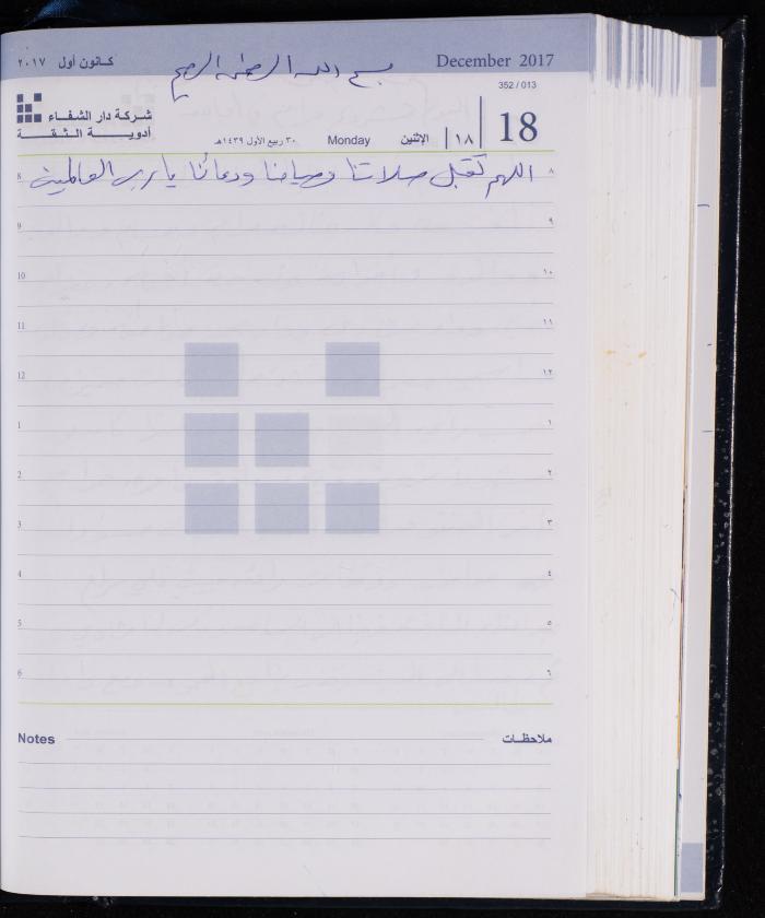 The Diary of Fadeyyeh Darabe, Dura- Hebron, 2017