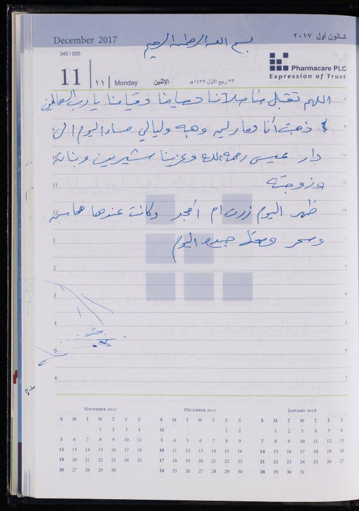 The Diary of Fadeyyeh Darabe, Dura- Hebron, 2017