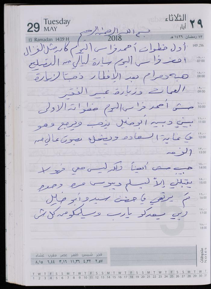 The Diary of Fadeyyeh Darabe, Dura- Hebron, 2018