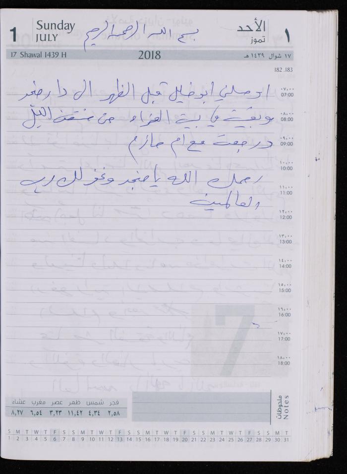 The Diary of Fadeyyeh Darabe, Dura- Hebron, 2018