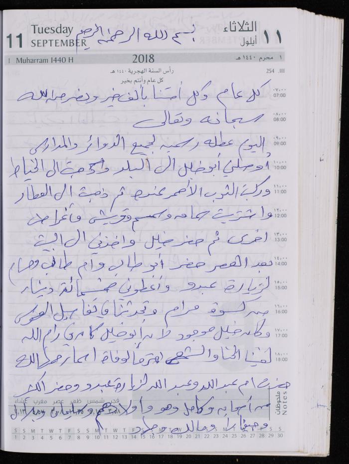 The Diary of Fadeyyeh Darabe, Dura- Hebron, 2018