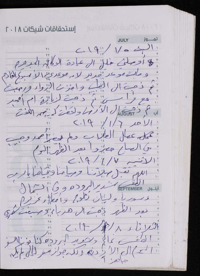 The Diary of Fadeyyeh Darabe, Dura- Hebron, 2018