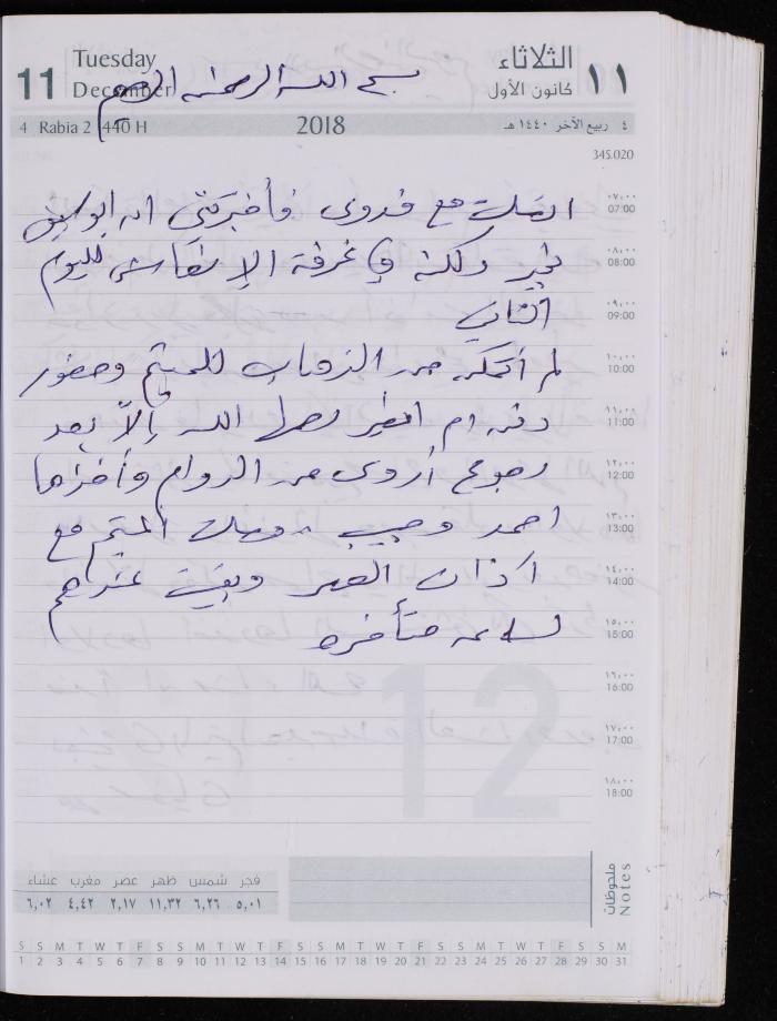 The Diary of Fadeyyeh Darabe, Dura- Hebron, 2018