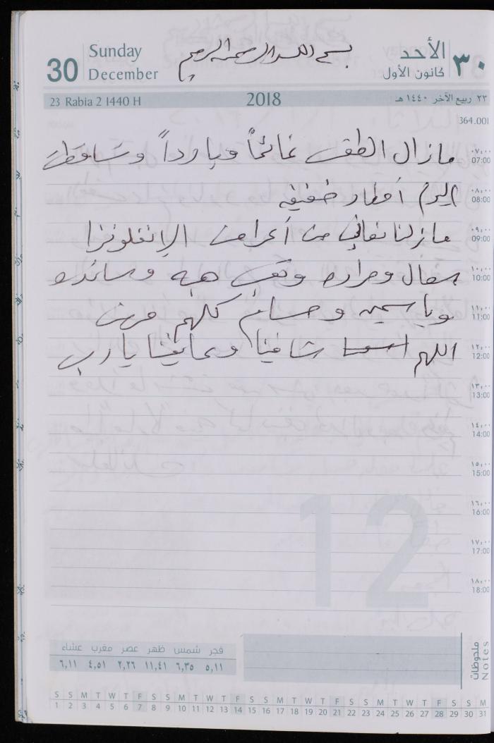 The Diary of Fadeyyeh Darabe, Dura- Hebron, 2018