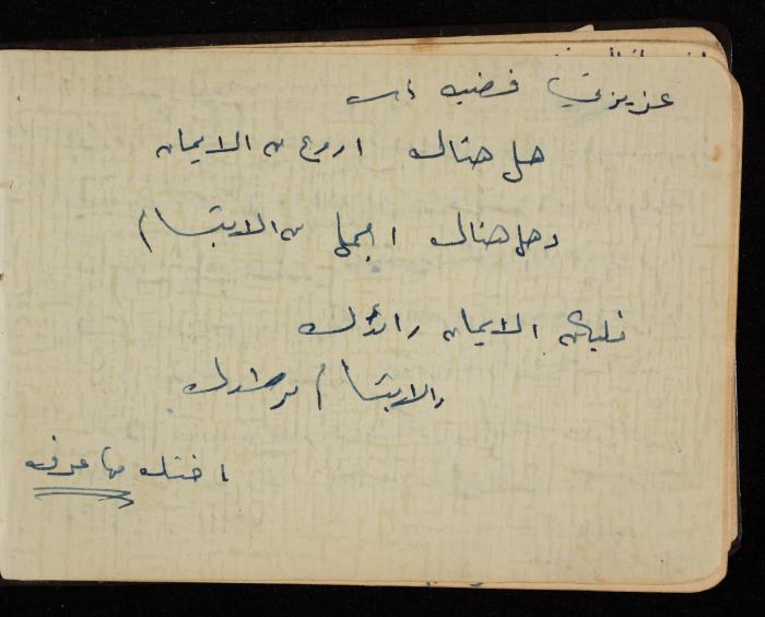 Fadeyyeh Darabe's Letters Notebook, Dura-Hebron, 1970-1972