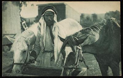 "A Bedouin and His Pride", a Postcard
