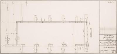 Elevators Reinforcement Plan for the Medical Centre of the Patient Friend