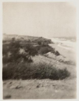 A Landscape in Bayt Jibrin-Hebron, the 1930s
