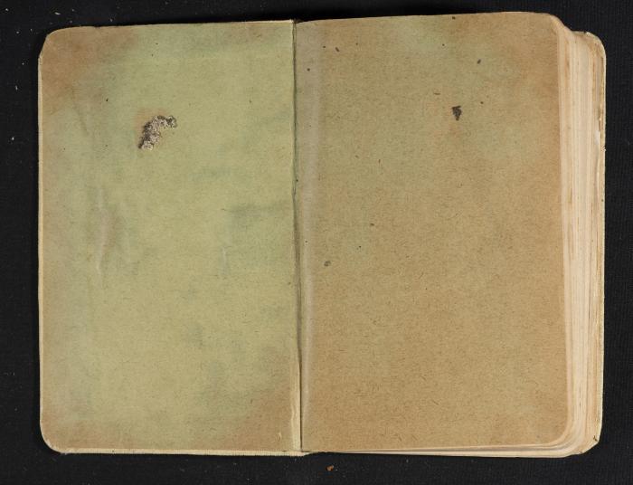 Abdel-Rahman al-Haj Ibrahim Diaries, Tulkarm, 1927