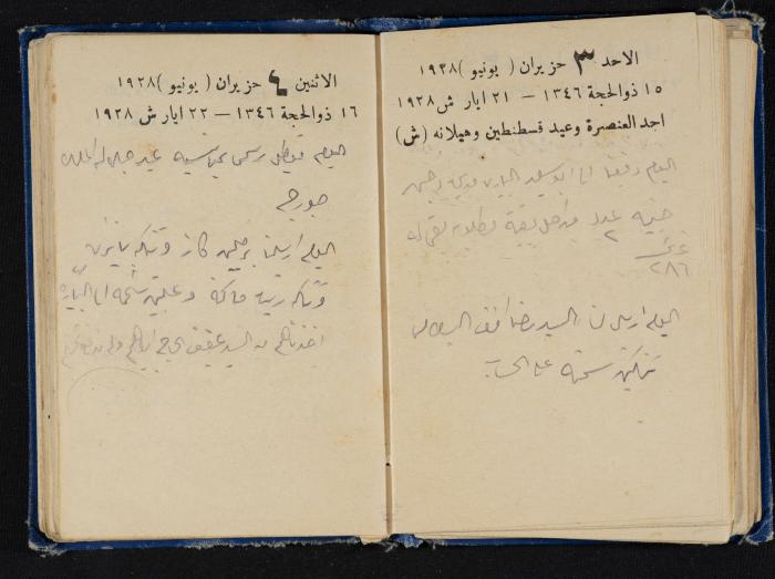 Abdel-Rahman al-Haj Ibrahim Diaries, Tulkarm, 1928