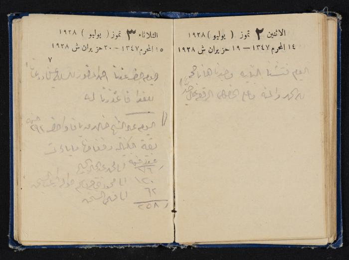 Abdel-Rahman al-Haj Ibrahim Diaries, Tulkarm, 1928