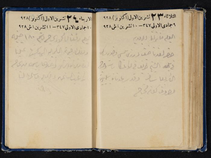Abdel-Rahman al-Haj Ibrahim Diaries, Tulkarm, 1928