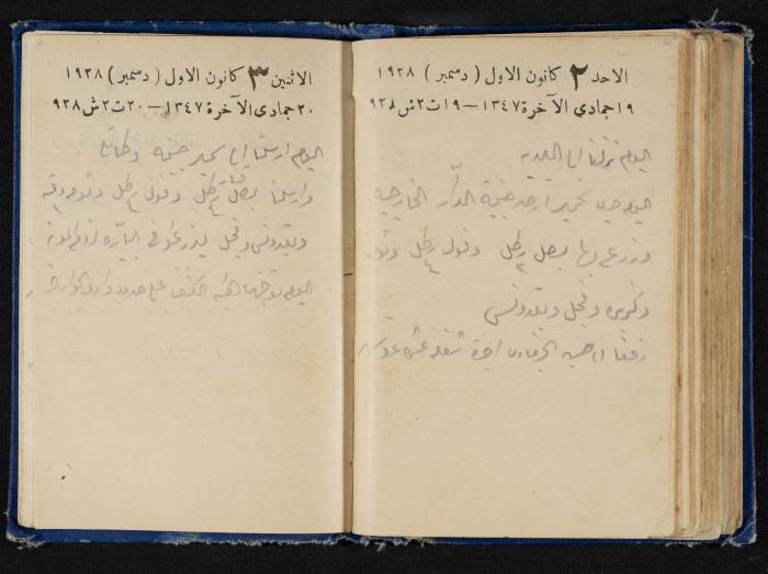 Abdel-Rahman al-Haj Ibrahim Diaries, Tulkarm, 1928