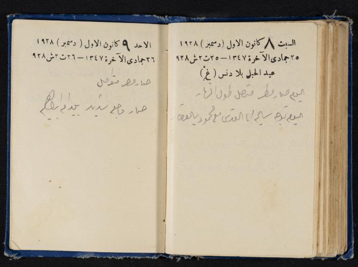 Abdel-Rahman al-Haj Ibrahim Diaries, Tulkarm, 1928