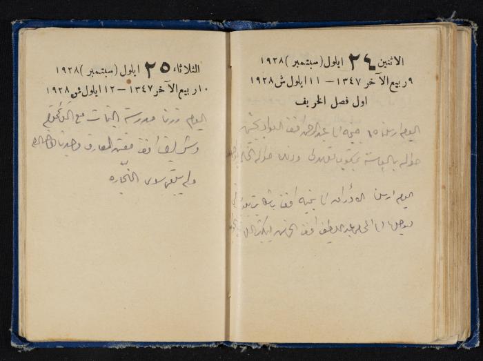 Abdel-Rahman al-Haj Ibrahim Diaries, Tulkarm, 1928