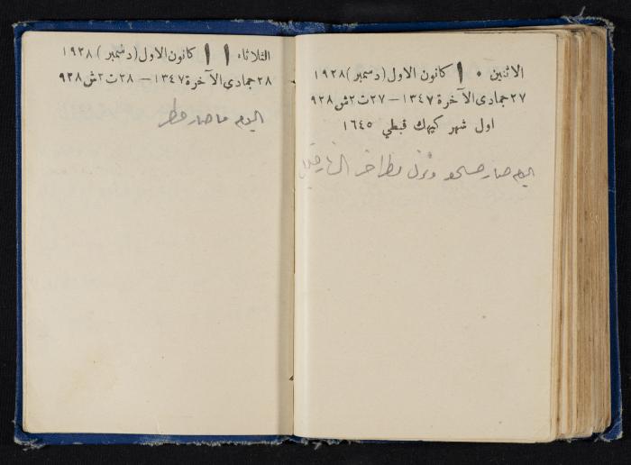 Abdel-Rahman al-Haj Ibrahim Diaries, Tulkarm, 1928