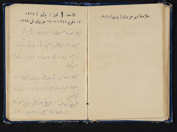 Abdel-Rahman al-Haj Ibrahim Diaries, Tulkarm, 1928