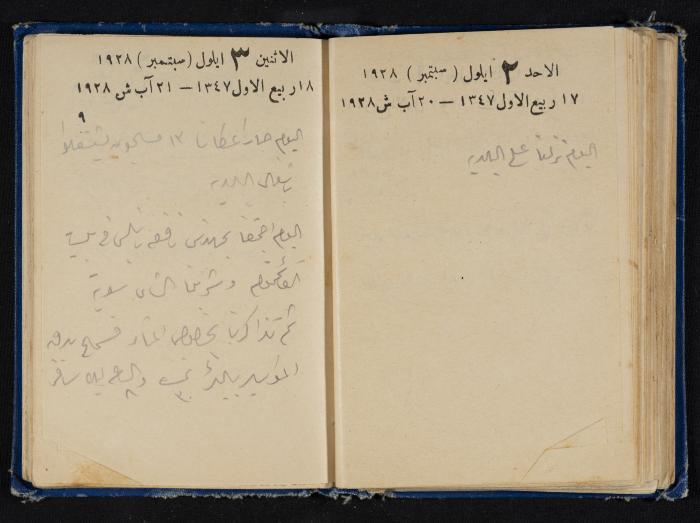 Abdel-Rahman al-Haj Ibrahim Diaries, Tulkarm, 1928