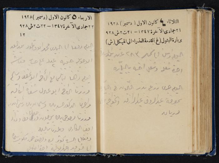 Abdel-Rahman al-Haj Ibrahim Diaries, Tulkarm, 1928