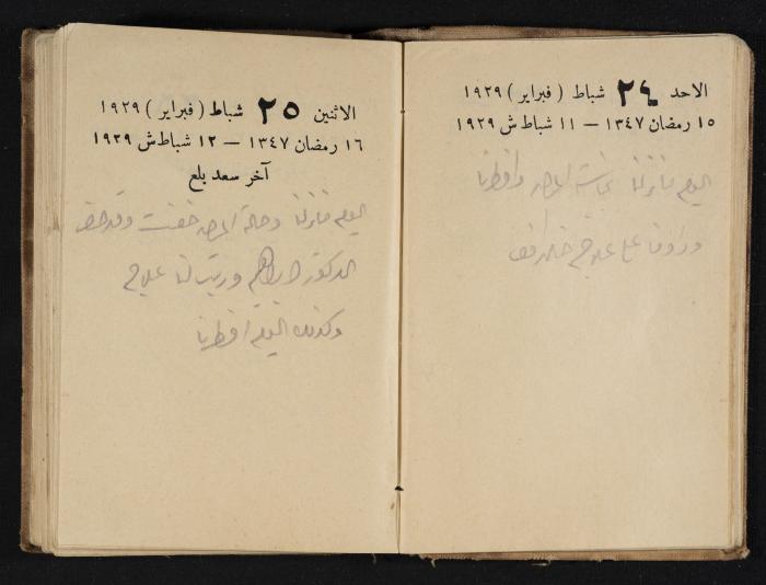 Abdel-Rahman al-Haj Ibrahim Diaries, Tulkarm, 1929