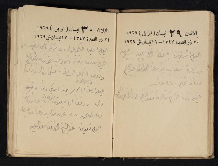 Abdel-Rahman al-Haj Ibrahim Diaries, Tulkarm, 1929
