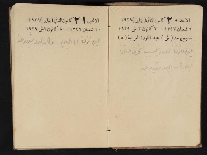 Abdel-Rahman al-Haj Ibrahim Diaries, Tulkarm, 1929