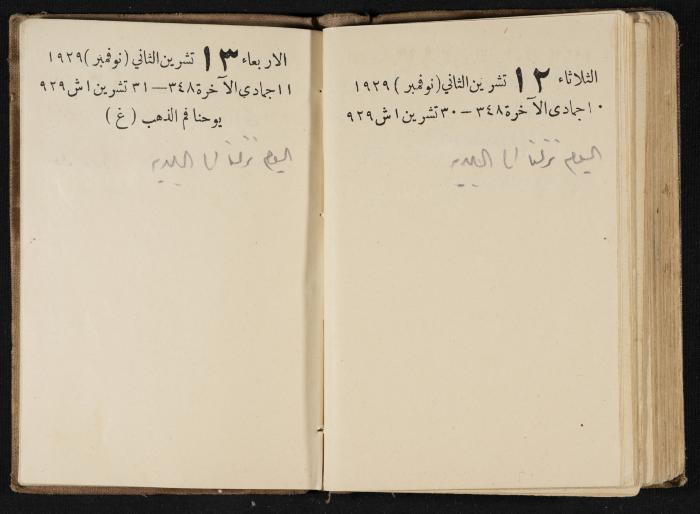 Abdel-Rahman al-Haj Ibrahim Diaries, Tulkarm, 1929