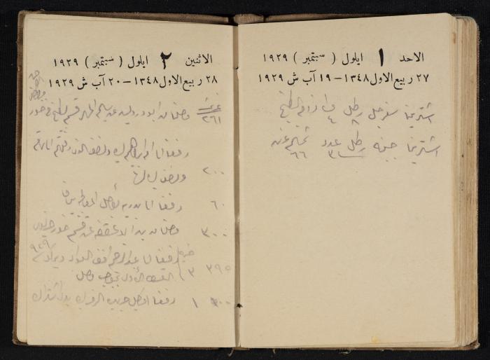 Abdel-Rahman al-Haj Ibrahim Diaries, Tulkarm, 1929