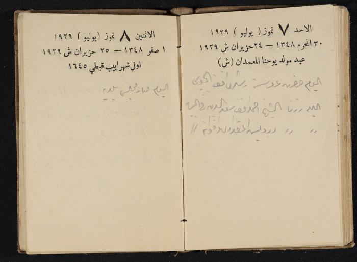 Abdel-Rahman al-Haj Ibrahim Diaries, Tulkarm, 1929