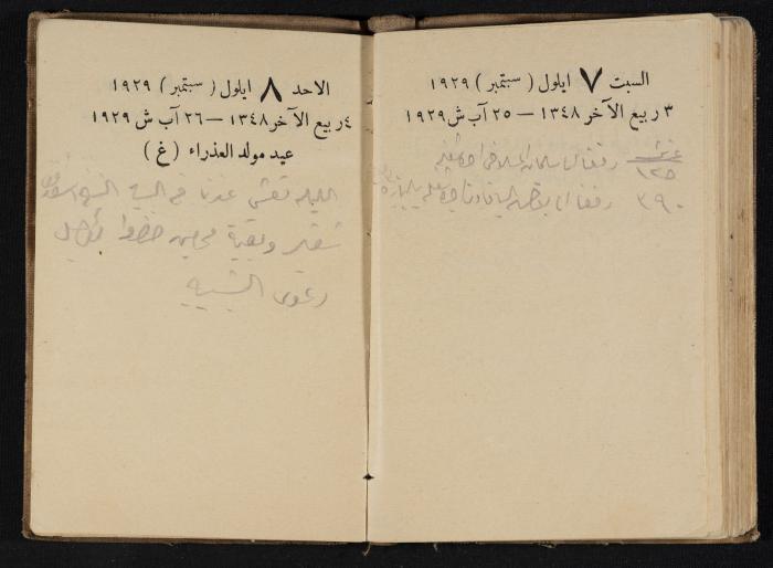 Abdel-Rahman al-Haj Ibrahim Diaries, Tulkarm, 1929