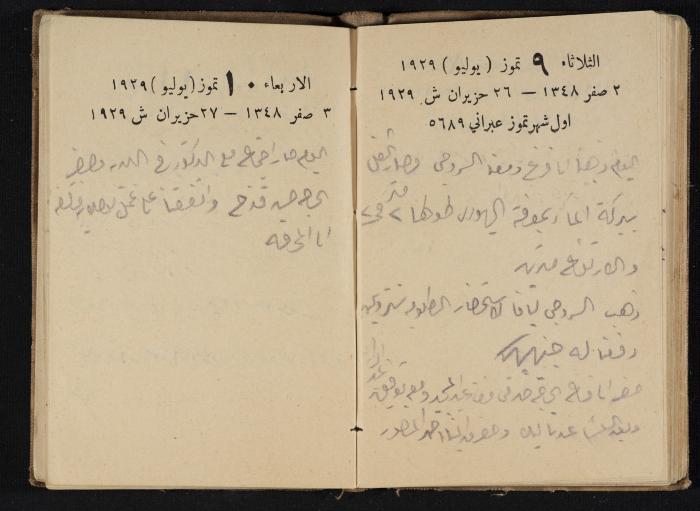 Abdel-Rahman al-Haj Ibrahim Diaries, Tulkarm, 1929