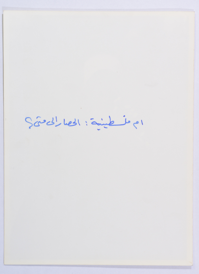 A Palestinian Woman in a Palestinian Refugee Camp, Lebanon, 1985- 1987
 